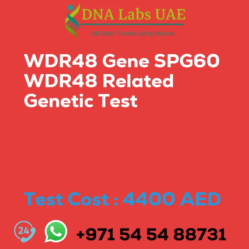 WDR48 Gene SPG60 WDR48 Related Genetic Test sale cost 4400 AED
