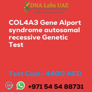COL4A3 Gene Alport syndrome autosomal recessive Genetic Test sale cost 4400 AED
