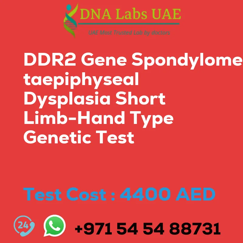 DDR2 Gene Spondylometaepiphyseal Dysplasia Short Limb-Hand Type Genetic Test sale cost 4400 AED