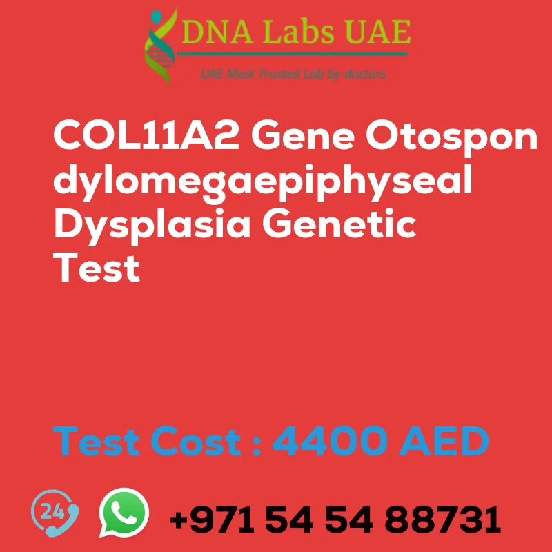 COL11A2 Gene Otospondylomegaepiphyseal Dysplasia Genetic Test sale cost 4400 AED