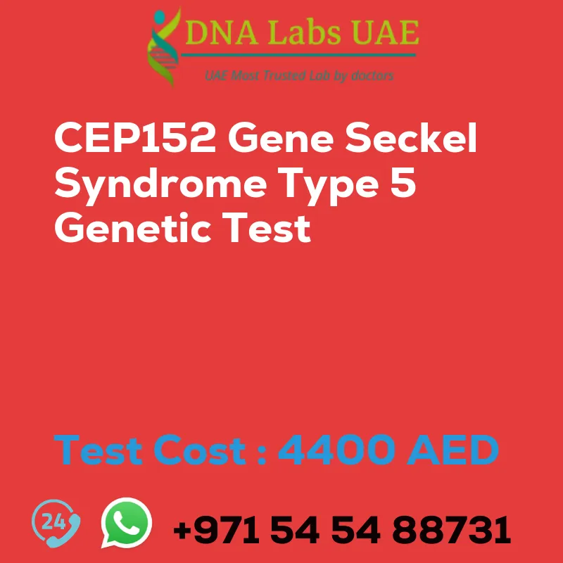 CEP152 Gene Seckel Syndrome Type 5 Genetic Test sale cost 4400 AED