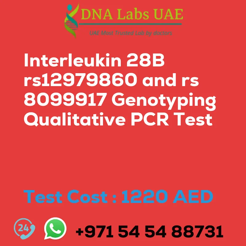 Interleukin 28B rs12979860 and rs 8099917 Genotyping Qualitative PCR Test sale cost 1220 AED