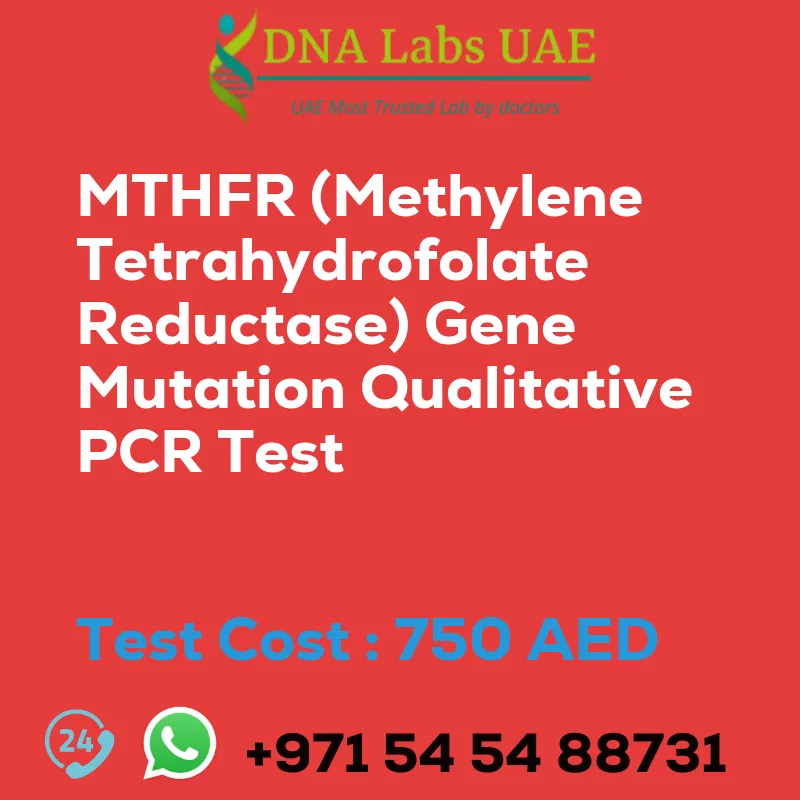 MTHFR (Methylene Tetrahydrofolate Reductase) Gene Mutation Qualitative PCR Test sale cost 750 AED
