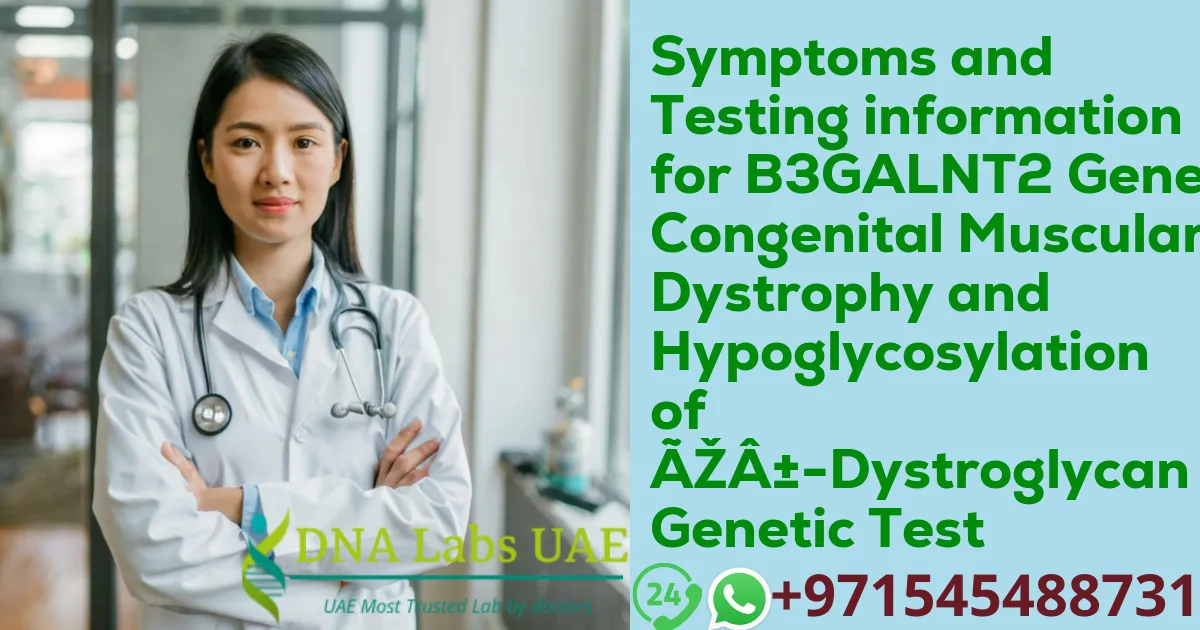 Symptoms and Testing information for B3GALNT2 Gene Congenital Muscular Dystrophy and Hypoglycosylation of α-Dystroglycan Genetic Test